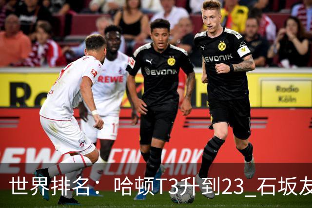 世界排名：哈顿T3升到23 石坂友宏日巡首胜412位