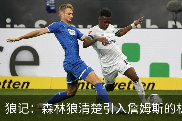 狼记：森林狼清楚引入詹姆斯的机会微乎其微 但他们积极主动招募